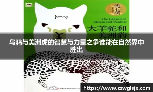 完美体育登录入口