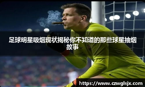 完美体育登录入口